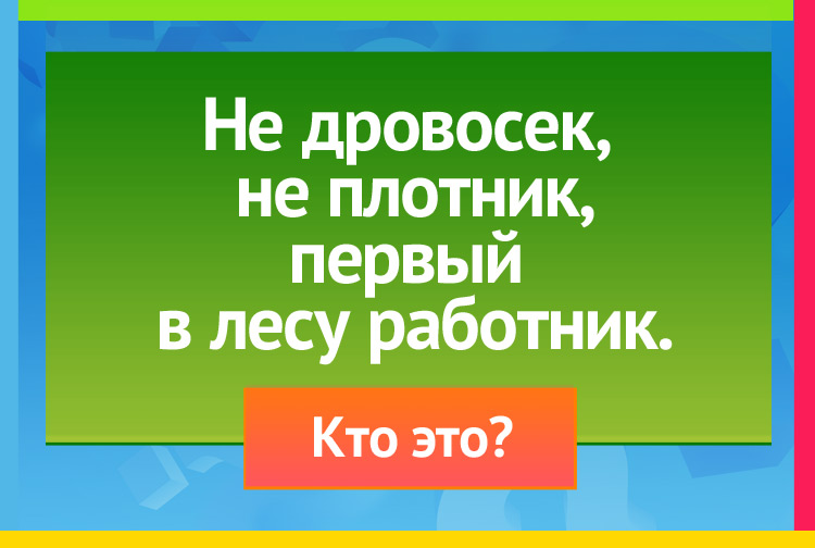 Загадка про дятла. Не дровосек, не плотник, Первый в лесу работник.