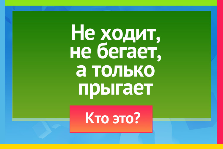 Загадка про лягушку. Не ходит, не бегает, А только прыгает.