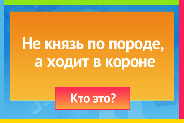 Загадка про петуха. Не князь по породе, А ходит в короне.