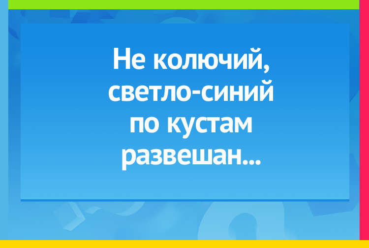 Загадка про иней. Не колючий, светло-синий По кустам развешан...