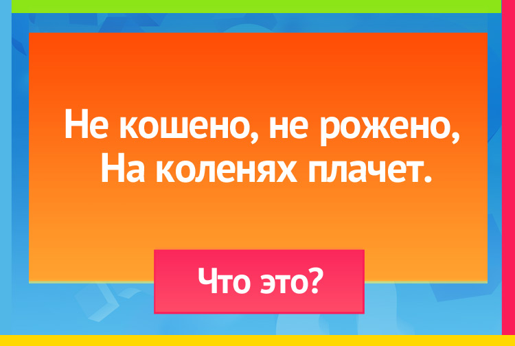 Загадка про гармонь. Не кошено, не рожено, На коленях плачет.