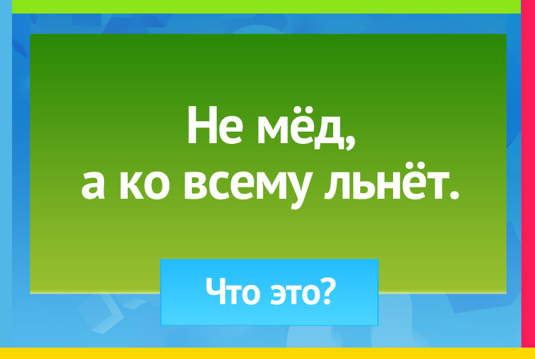 Загадка про Глаза, взгляд. Не мёд, а ко всему льнёт.