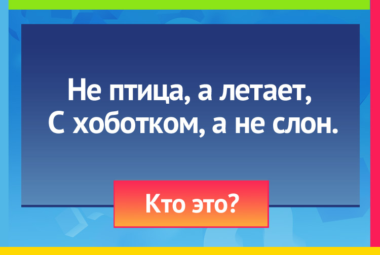 Загадка про муху. Не птица, а летает, С хоботком, а не слон.