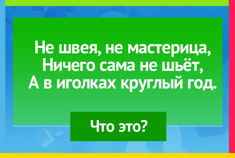 Загадка про елку. Не швея, не мастерица, Ничего сама не шьёт, А в иголках круглый год.