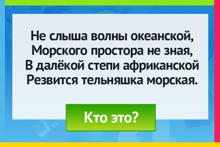 Загадка про зебру. Не слыша волны океанской, Морского простора не зная, В далёкой степи африканской Резвится тельняшка морская.