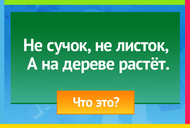 Загадка про мох. Не сучок, не листок, А на дереве растёт.