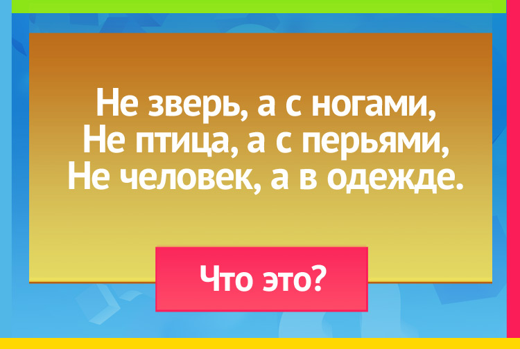 Загадка про кровать. Не зверь, а с ногами, Не птица, а с перьями, Не человек, а в одежде.