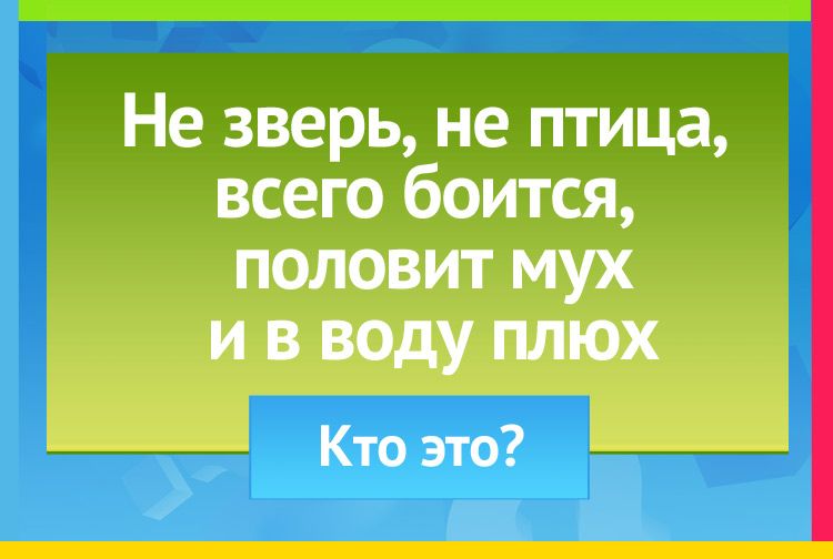 Загадка про лягушку. Не зверь, не птица, всего боится. Половит мух и в воду плюх.