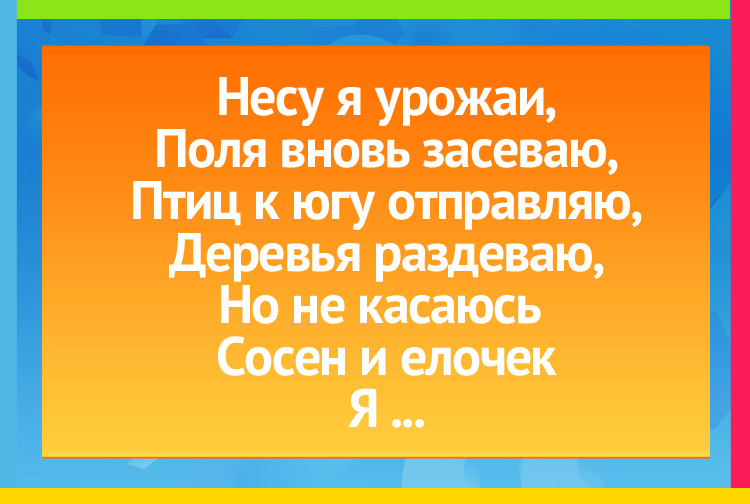 Загадка про осень. Несу я урожаи, Поля вновь засеваю, Птиц к югу отправляю, Деревья раздеваю, Но не касаюсь сосен и елочек, Я ...