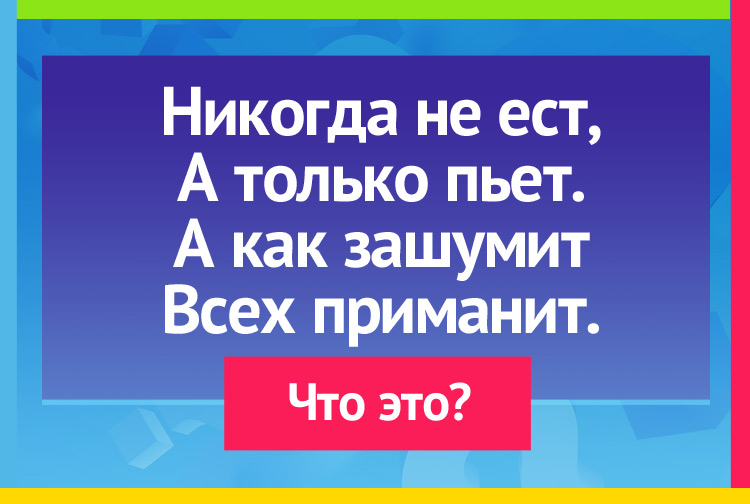 Загадка про чайник. Никогда не ест, А только пьет. А как зашумит Всех приманит.