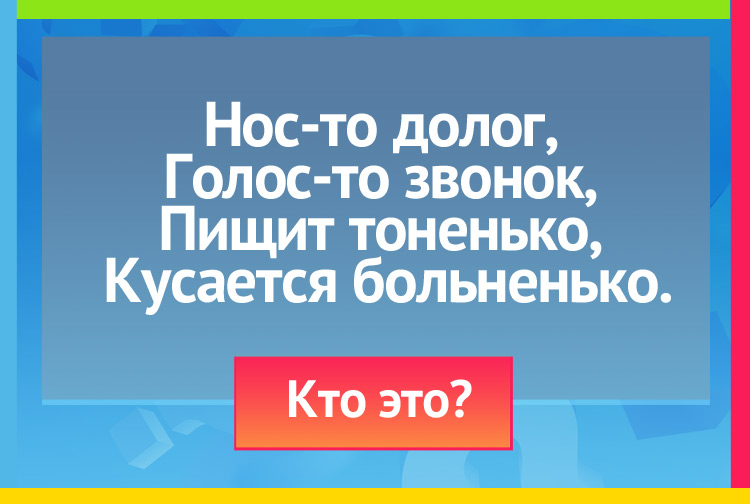 Загадка про комара. Нос-то долог, Голос-то звонок, Пищит тоненько, Кусается больненько.