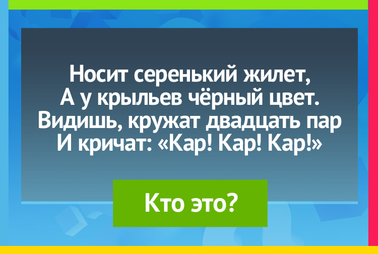 Загадка про ворону. Носит серенький жилет, А у крыльев чёрный цвет. Видишь, кружат двадцать пар И кричат: Кар! Кар! Кар!