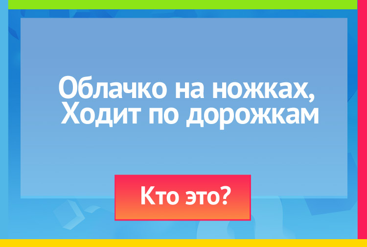 Загадка про овечку. Облачко на ножках, Ходит по дорожкам.