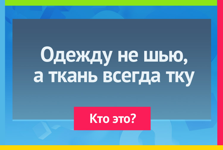 Загадки про паука. Одежду не шью, а ткань всегда тку.