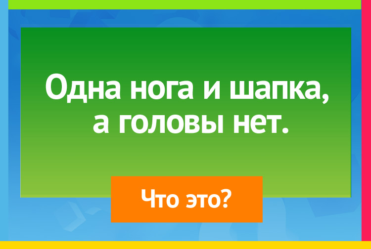 Загадка про гриб. Одна нога и шапка, а головы нет.