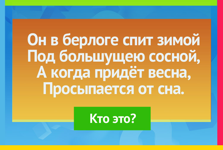 Загадка про медведя. Он в берлоге спит зимой Под большущею сосной, А когда придёт весна, Просыпается от сна.