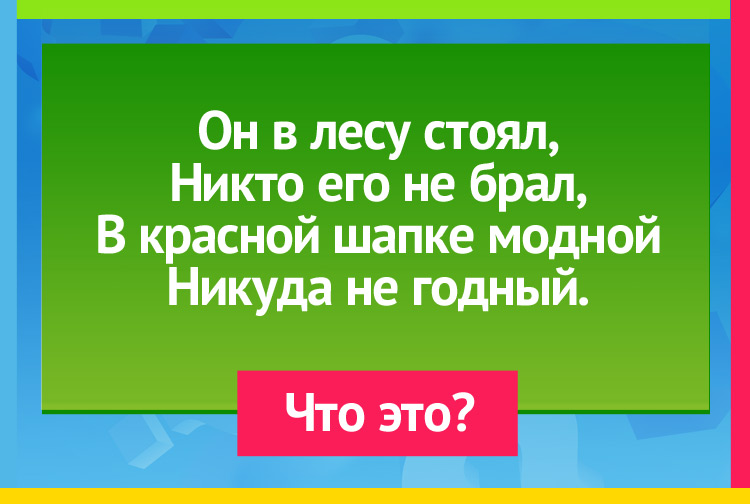 Загадка про мухомор. Он в лесу стоял, Никто его не брал, В красной шапке модной Никуда не годный.