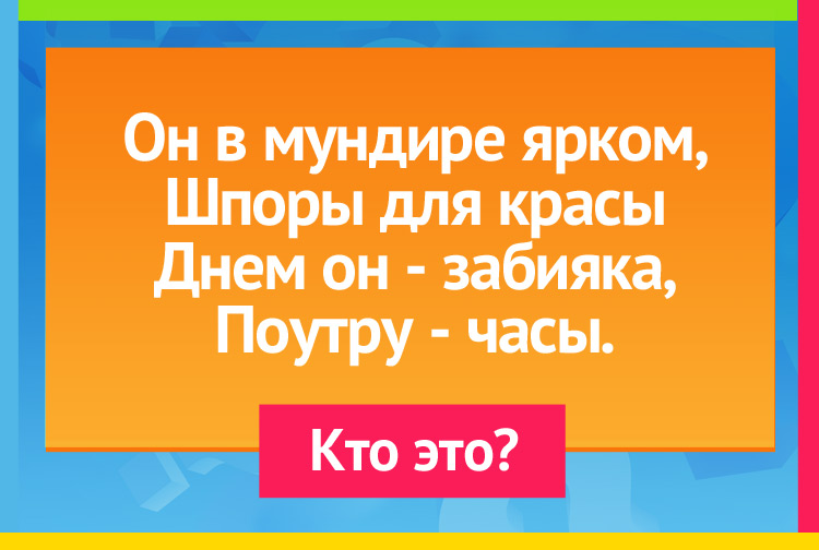 Загадка про петуха. Он в мундире ярком, Шпоры для красы Днем он - забияка, Поутру - часы.