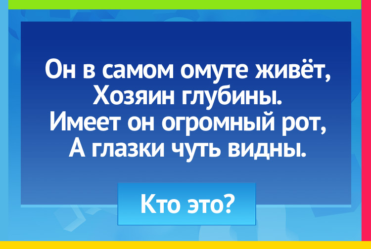 Загадка про сома. Он в самом омуте живёт, Хозяин глубины. Имеет он огромный рот, А глазки чуть видны.