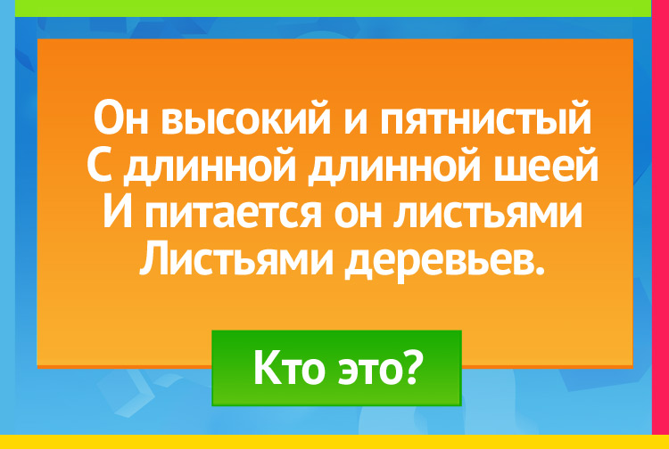 Загадка про жирафа. Он высокий и пятнистый С длинной длинной шеей И питается он листьями Листьями деревьев.