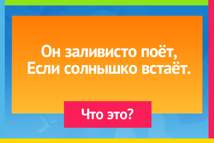 Загадка про петуха. Он заливисто поёт, Если солнышко встаёт.