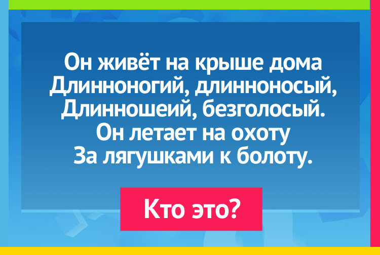 Загадка про аиста. Он живёт на крыше дома, Длинноногий, длинноносый, Длинношеий, безголосый. Он летает на охоту За лягушками к болоту.