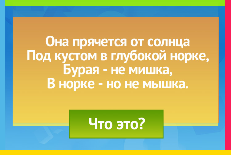 Загадка про картошку. Она прячется от солнца Под кустом в глубокой норке, Бурая не мишка, В норке но не мышка.