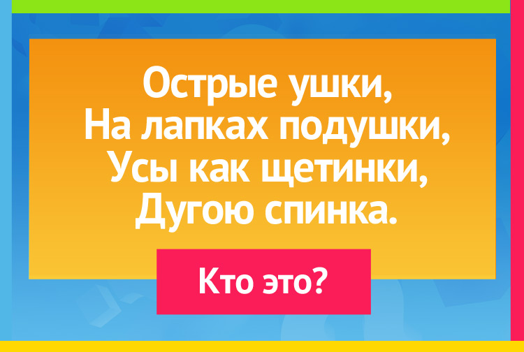 Загадка про кошку. Острые ушки, На лапках подушки, Усы, как щетинки, Дугою спинка.