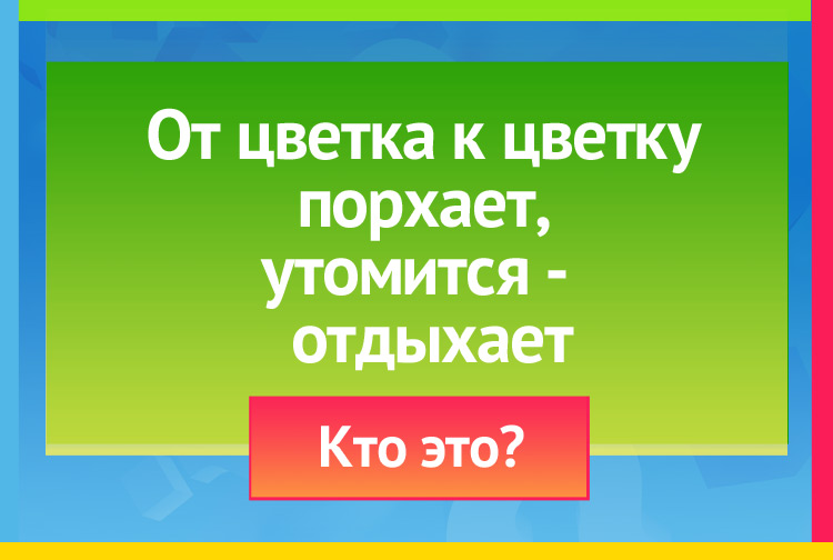 Загадка про бабочку. От цветка к цветку порхает, Утомится отдыхает.