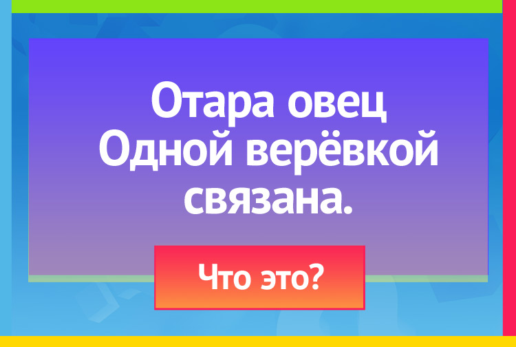 Загадка про Бусы, ожерелье. Отара овец Одной верёвкой связана.