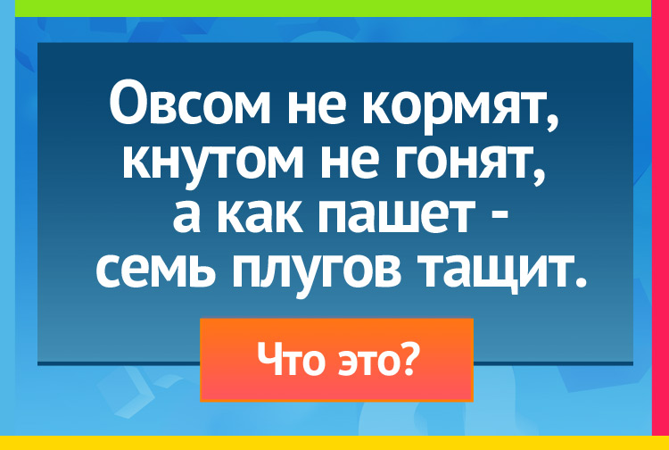 Загадка про трактор. Овсом не кормят, Ннутом не гонят, А как пашет - семь плугов тащит.