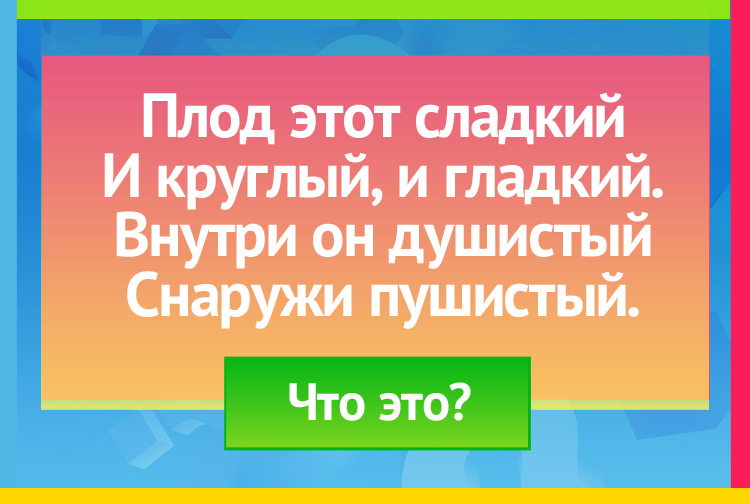 Загадка про персик. Плод этот сладкий И круглый, и гладкий. Внутри он душистый Снаружи пушистый.