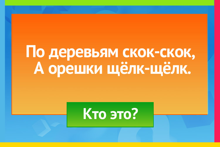 Загадка про белку. По деревьям скок-скок, А орешки щёлк-щёлк.