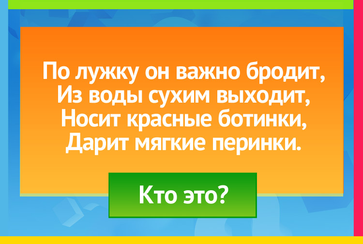 Загадка про гуся. По лужку он важно бродит, Из воды сухим выходит, Носит красные ботинки, Дарит мягкие перинки.