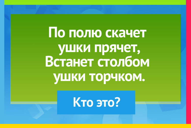 Загадка про зайца. По полю скачет ушки прячет, Встанет столбом ушки торчком.