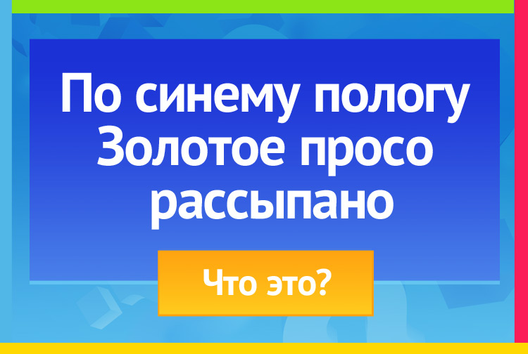 Загадка про небо и звезды. По синему пологу Золотое просо рассыпано.