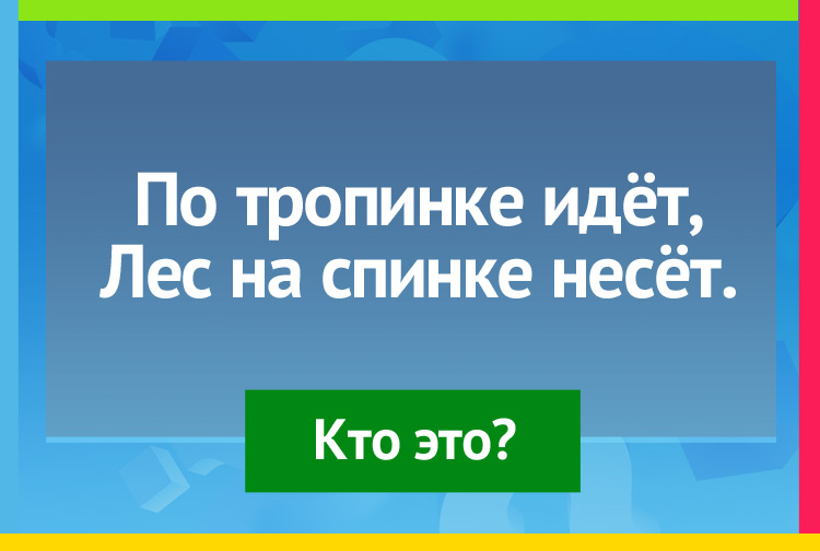 Загадка про ежа. По тропинке идёт, Лес на спинке несёт.