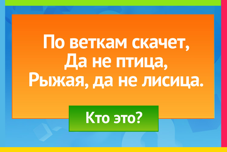 Загадка про белку. По веткам скачет, Да не птица, Рыжая, да не лисица.