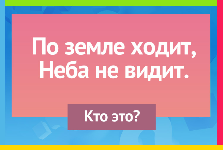 Загакди про свинью. По земле ходит, Неба не видит.