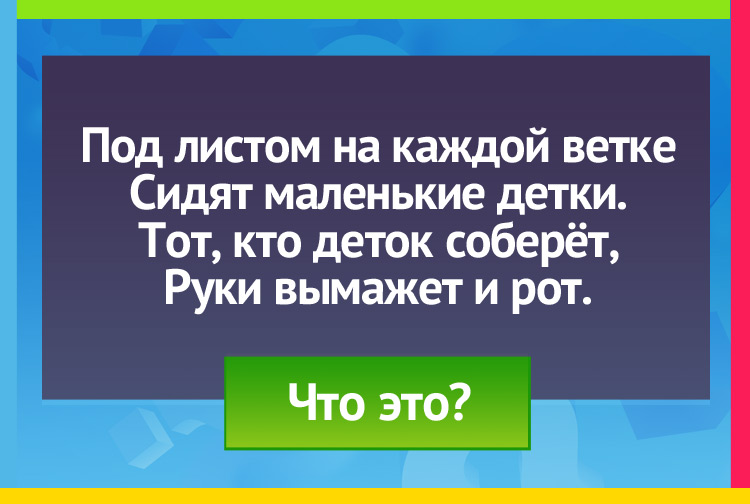 Загадка про чернику. Под листом на каждой ветке Сидят маленькие детки. Тот, кто деток соберёт, Руки вымажет и рот.