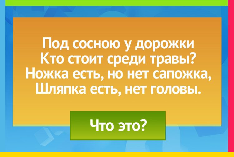 Загадка про гриб. Под сосною у дорожки Кто стоит среди травы? Ножка есть, но нет сапожка, Шляпка есть, нет головы.