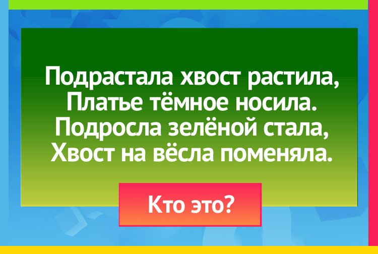 Загадка про лягушку (жабу). Подрастала хвост растила, Платье тёмное носила. Подросла зелёной стала, Хвост на вёсла поменяла.