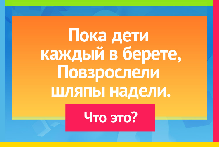 Загадка про грибы. Пока дети каждый в берете, Повзрослели шляпы надели.