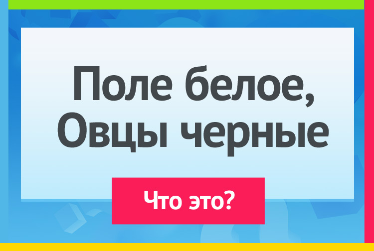 Загадка про Буквы на бумаге, письмо. Поле белое, Овцы черные.