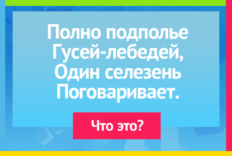 Загадка про Рот, зубы и язык. Полно подполье Гусей-лебедей, Один селезень Поговаривает.