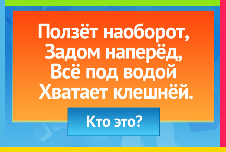 Загадка про рака. Ползёт наоборот, Задом наперёд, Всё под водой Хватает клешнёй.