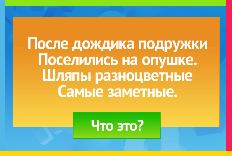 Загадка про Грибы, Сыроежки. После дождика подружки Поселились на опушке. Шляпы разноцветные, Самые заметные.