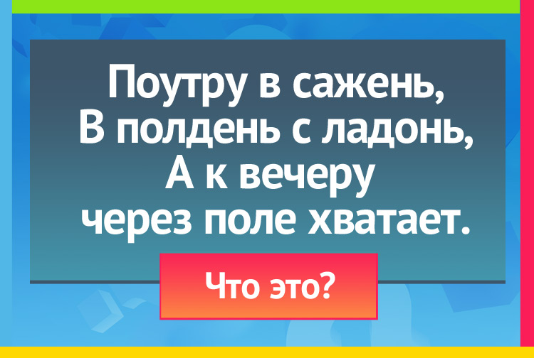 Загадка про тень. Поутру в сажень, В полдень с ладонь, А к вечеру через поле хватает.