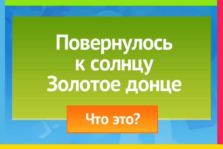 Загадка про Подсолнух. Повернулось к солнцу Золотое донце.