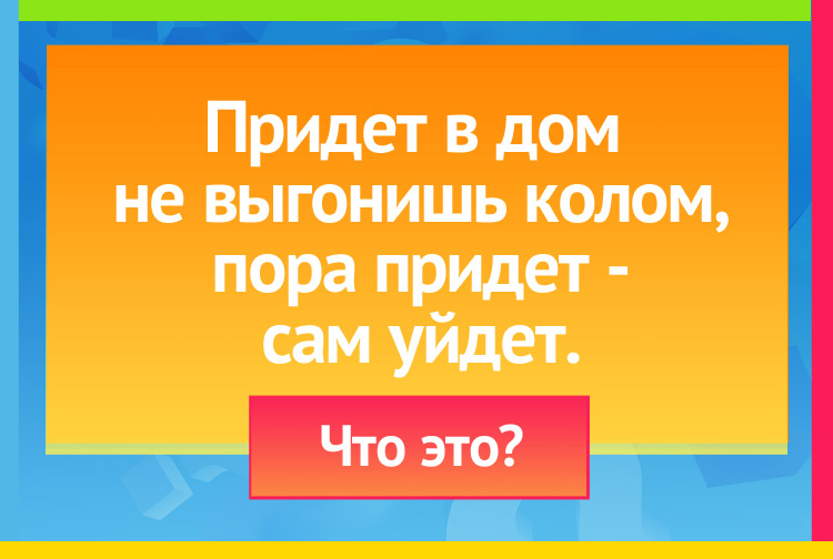 Загадка про Солнечный луч. Придет в дом не выгонишь колом, пора придет сам уйдет.